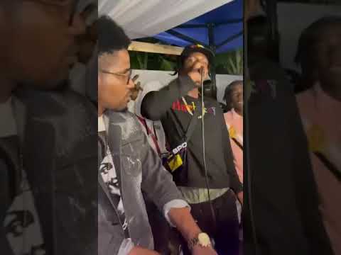 Franco Wildlife Wildlife pettodean Bobby 6ix Spain Town fully active