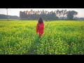 Pousher Kachakachi Rodmakha Seidin By Manna Dey Modern Song Photomix