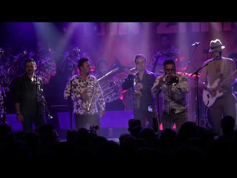 MR ŽARKO feat. BOJAN KRSTIĆ ORKESTAR -  Manouche Latcho /// live in SO36, Berlin 2017