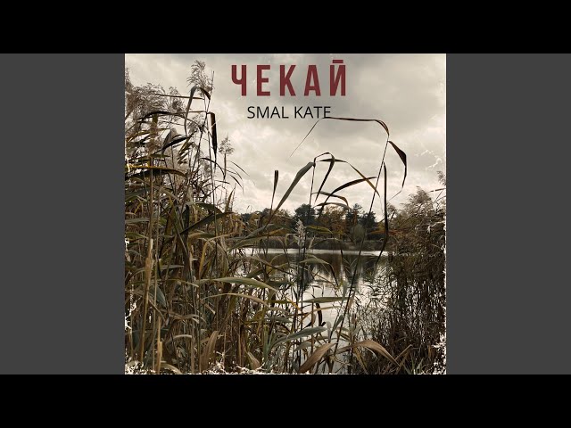 Фото Текст, аранжування та написання мелодії, зведення та мастеринг- все виконано мною.