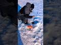 Video Thumbnail for PIKE on the tip-up!! #pikefishing #icefishing #short #subscribe