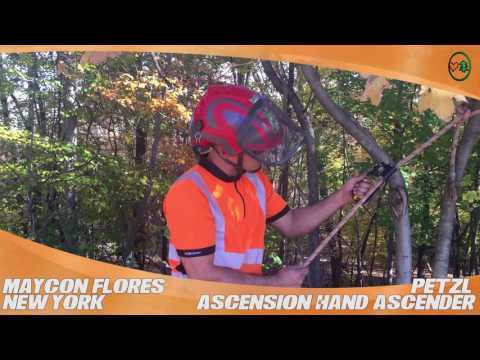 YouTube Thumbnail 6krcdhi4cjU