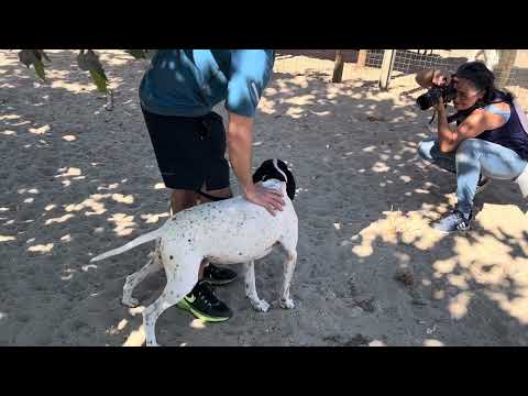 Vídeo de JOKER