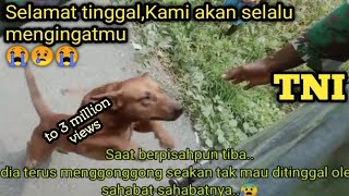 Download lagu This dog is crying, doesn't want to be left by Indonesian Army who will return to headquarters mp3