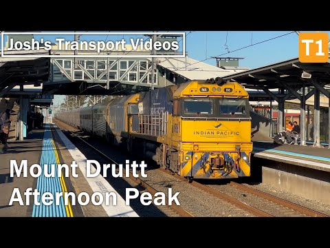 JTV Vlog 110: Afternoon Peak Trains at Mount Druitt - Ft. The Indian Pacific | T1 Western