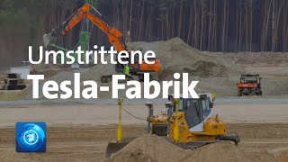 Umstrittene Tesla-Fabrik
