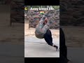 Army Training Commando Training Para Commando Training Pera Commando Army