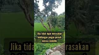 Download lagu Jika tidak ingin merasa kehilangan jangan pernah merasa memiliki #shorts #katanasehat #publik mp3 Download lagu Jika tidak ingin merasa kehilangan jangan pernah merasa memiliki #shorts #katanasehat #publik mp3