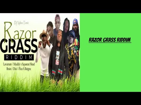 Razor Grass Riddim mix {Jan 2023} [Soca edition]@leonelrascue ft brain, dixi, lavaman and more