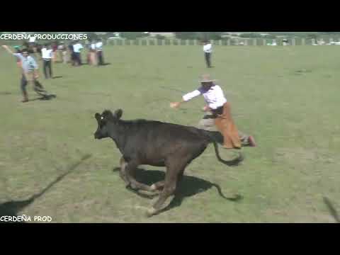 PIALADAS VILLA VIEJA 2025