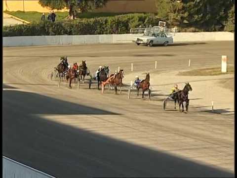 corsa proprietari 10 dicembre 2016