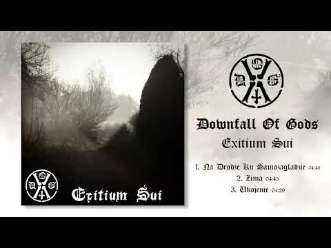 Downfall Of Gods - Exitium Sui