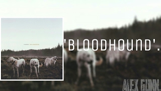 'Bloodhound' - Foxing | Subtitulado en español.