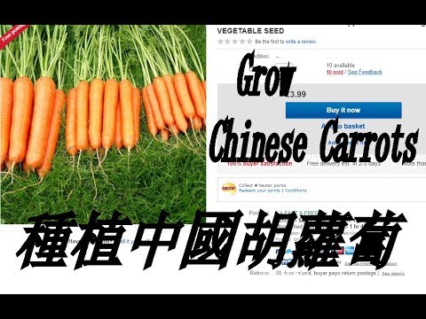 , title : 'Grow Carrots, Grow Chinese Carrots.  Cogra Moss Walk'