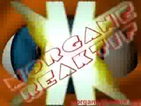 vj morgane reaktif on frenezik01