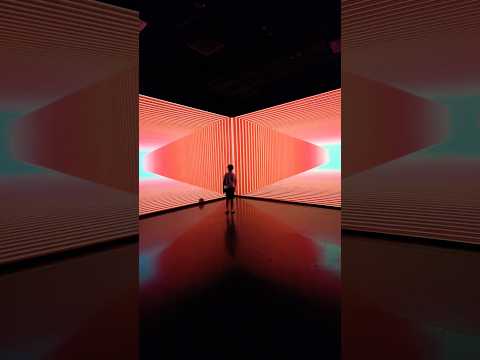 "Onion Skin" Room. HOPSCOTCH. Portland, Oregon. Interactive Art Installment.