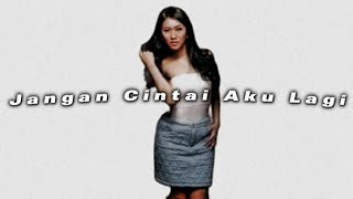 Download lagu Jangan Cintai Aku Lagi - IMeyMey (Slowed Reverb) mp3