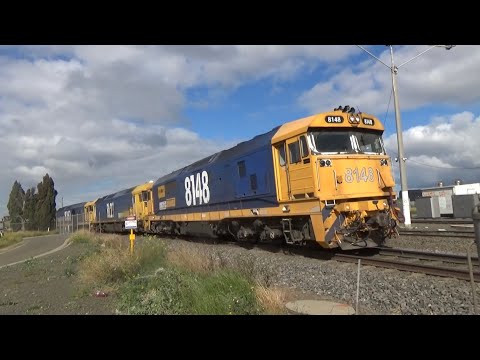 Pacific National 8148, BL27, 8161 6CM6 Grain At North Geelong