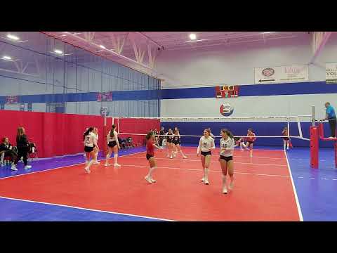15 SPVB Gold vs 16 Red