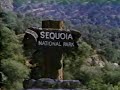 Disney S One Day On Beetle Rock Season 14 Ep 8