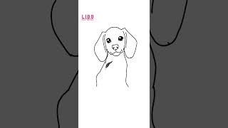 How to Draw a CUTE Beagle Puppy! Easy Drawing for Kids & Beginners