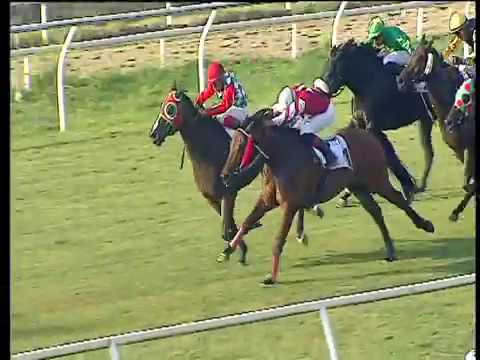 Galoppo 16/06/2017 - 5ª corsa - TRIS