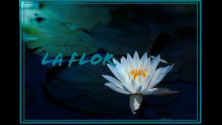 La Flor (Poema musicalizado)