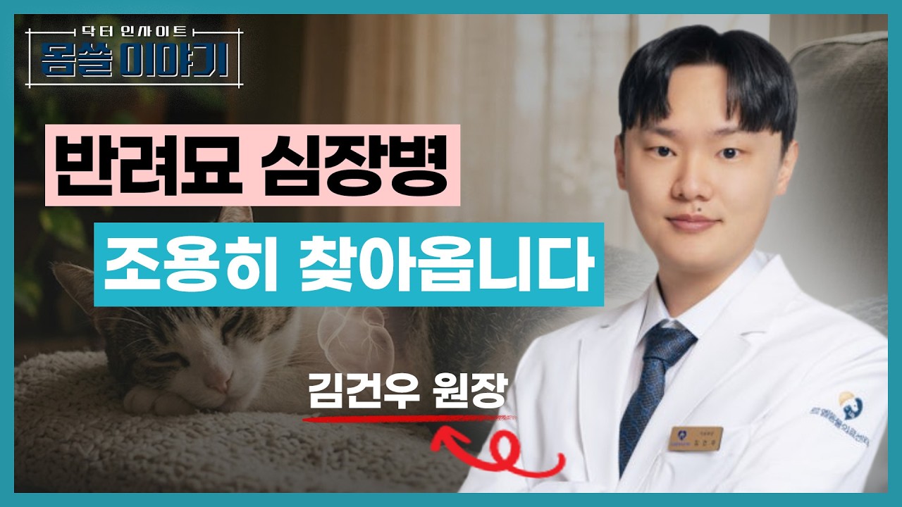 고양이가 갑자기 쓰러진다면… 심장병 신호일 수 있습니다 [몸쓸이야기 18회]