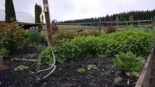 Organic & BioDynamic Wine