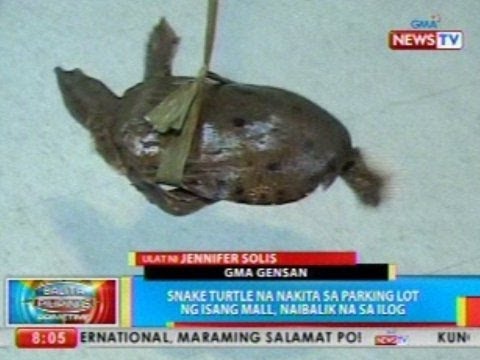 Hindi nawawala ang bigat ng pagsubok para sa mga kalalakihan Xenical pharmacy presyo Yaroslavl