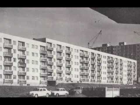 Stini - Życie trwa krótko