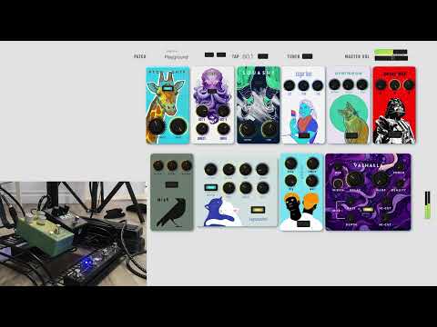 Hybrid Guitar Rig - Analog Pedals + MainStage