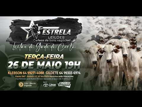 ESTRELA LEILÕES  - AO VIVO - 26/05/2026  -  19H - MORRINHOS - GOIÁS