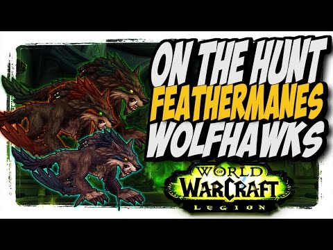 Feathermanes Wolfhawks!! Common to Rare hunter pets "On The Hunt" WoW Legion patch 7.2