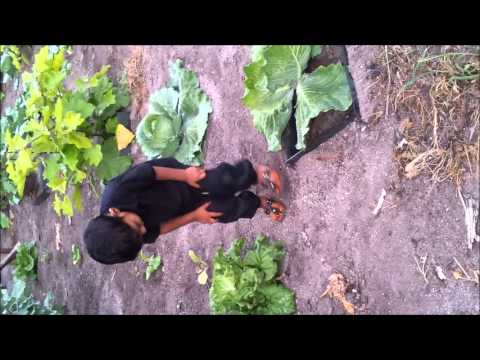 Scores Of Flair - Ran Kokaalaa (2012).mp4