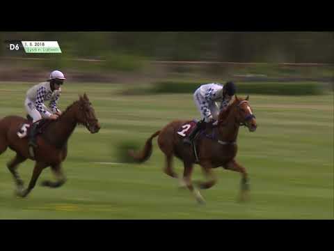 LL, 1. 5. 2018, 6. dostih - PRVOMÁJOVÁ STEEPLECHASE MĚSTA LYSÁ NAD LABEM