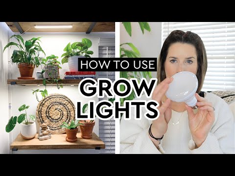 , title : 'HOW TO USE GROW LIGHTS | Grow Lights for Houseplants in Winter | Results from Using Grow Lights