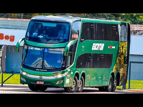 Movimentação de ÔNIBUS. Terminal Rodoviário Sinop - Mato Grosso