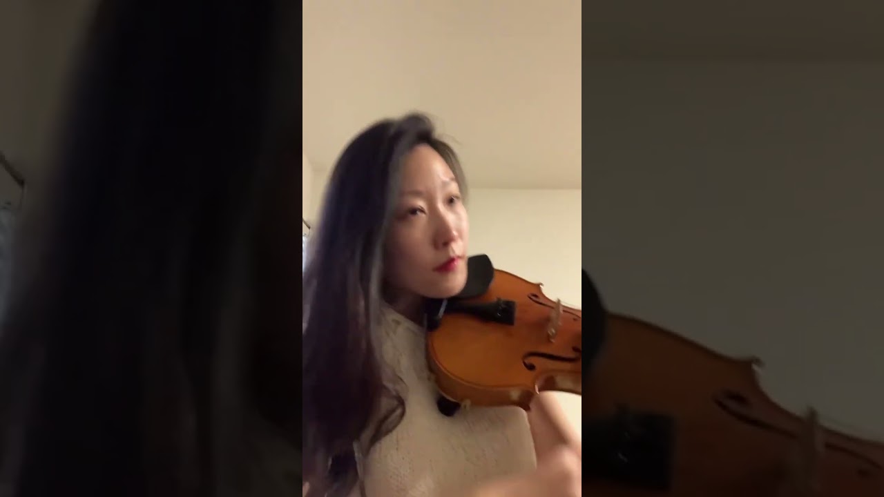 Promotional video thumbnail 1 for Xue Ding - Viola & Violin