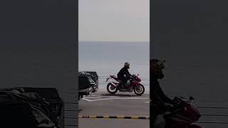 双極性障害(躁うつ病)【自分の病気を知って良かったこと】