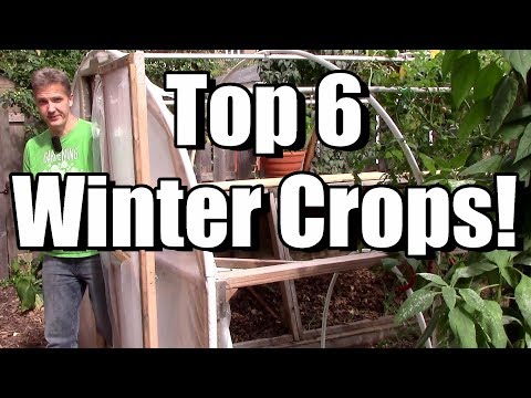 download lagu mp3 mp4 Pnw Gardening Calendar, download lagu Pnw Gardening Calendar gratis, unduh video klip Pnw Gardening Calendar