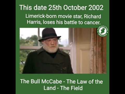 The Bull McCabe - The Law of the Land - The Field