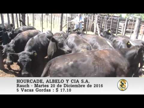 20-12-16 Venta de Hacienda Gorda - Hourcade, Albelo y Cia S.A. - Rauch.