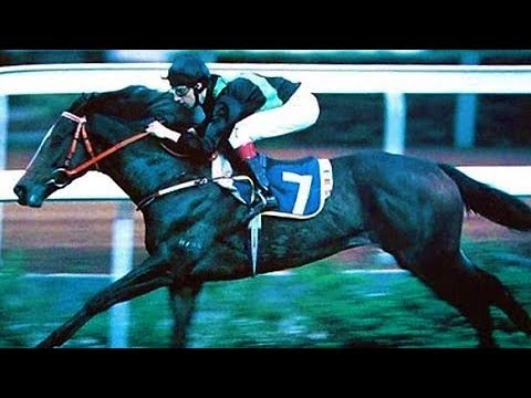 1990/91 (304) - Nervous Witness (緊張大師) - 白禮棟