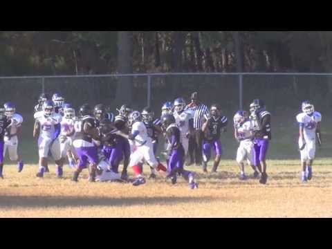 TwinSportsTV: Cascade Wolverines vs. Ga. Thoroughbreds 11U Highlight Game