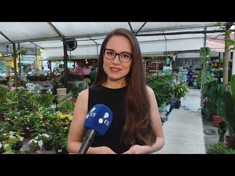 Programa Destaque - Redetv!ES - Conheça a Agrimais, em Santa Maria de Jetibá!
