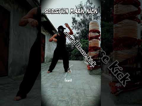 Epic Question Mark Kick 🥋 #tutorial #youtubeshorts #ytshorts #usa #russia #india #mma #shortvideo