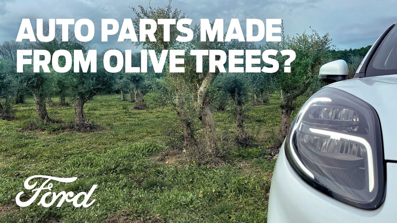 Parts of Your Future Ford Could Be Made From Olive Trees