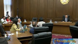 Ի՞նչ խնդիրների են բախվում COVID-19-ից տուժած տուրիզմի ոլորտի ներկայացուցիչները. քննարկում ԱԺ-ում