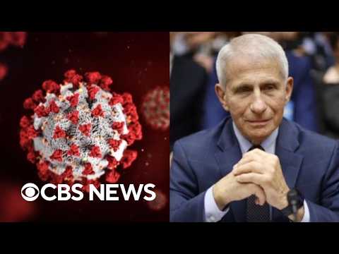 Doctor discusses potential COVID origin after Dr. Anthony Fauci's diary release